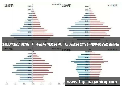 利比亚政治进程中的挑战与困境分析:从内部分裂到外部干预的多重考量 利比亚政治进程中的挑战与困境分析:从内部分裂到外部干预的多重考量