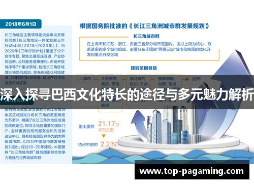 深入探寻巴西文化特长的途径与多元魅力解析 深入探寻巴西文化特长的途径与多元魅力解析